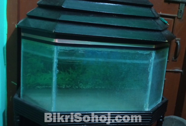 A nice Aquarium